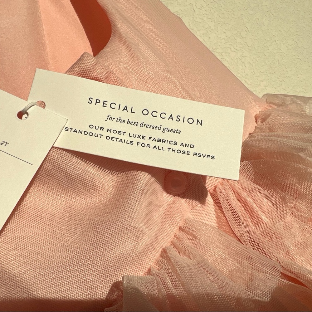 Pink and Rainbow Ruffle Dress - Picture 5 of 6